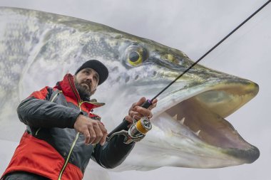 Turna balığı. Balıkçı, misk balığı avlarken bulanık muskellunge arka planında dönen çubukla balık yakalar. Yumuşak odak
