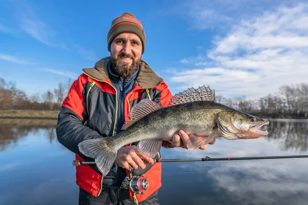 Gelukkige Visser Met Snoekbaars Succes Walleye Vissen Wilde Rivier — Stockfoto