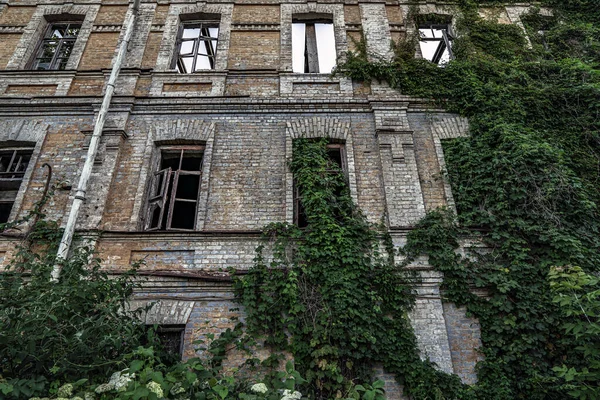 Velho Edifício Abandonado Arruinado Hera Coberta — Fotografia de Stock