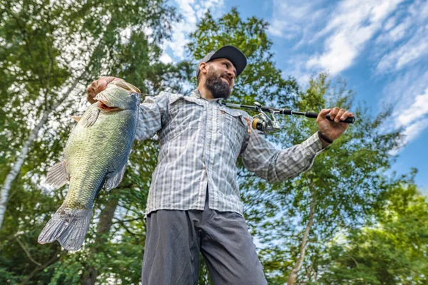 Rybaření Velká Basová Ryba Rukou Potěšeného Rybáře Točící Tyčí Largemouth — Stock fotografie