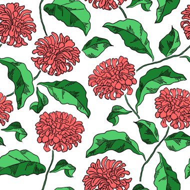 Vintage çiçek seamless modeli çizilmiş dahlia çiçekli.