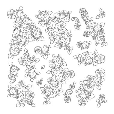 Vektör doodle elle çizilmiş botanik öğeleri kümesi.