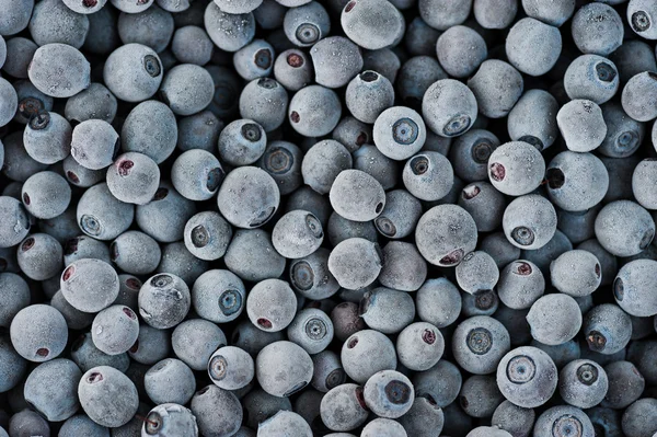 Mirtilos congelados cobertos por geada — Fotografia de Stock