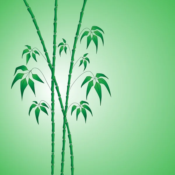 Bambou sur vert — Image vectorielle