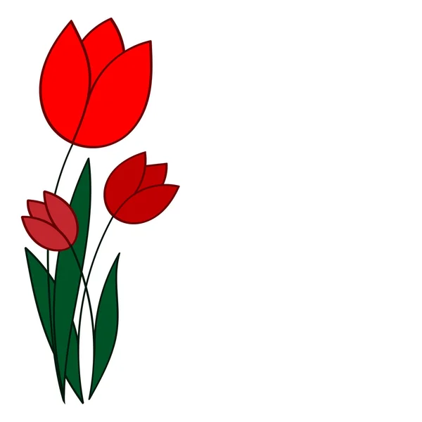 Tulipanes rojos en un vector de fondo blanco ilustración para greetina — Archivo Imágenes Vectoriales