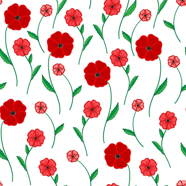 Coquelicots rouges sur fond blanc — Image vectorielle