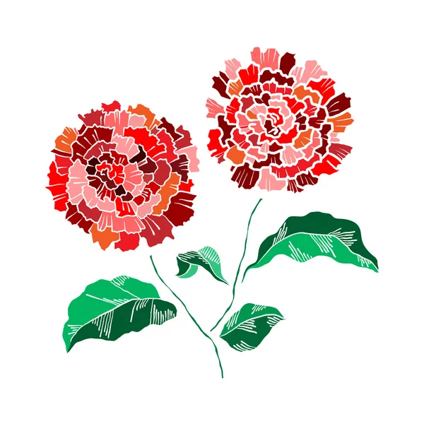 Vector Dibujo a mano flor de crisantemo — Vector de stock
