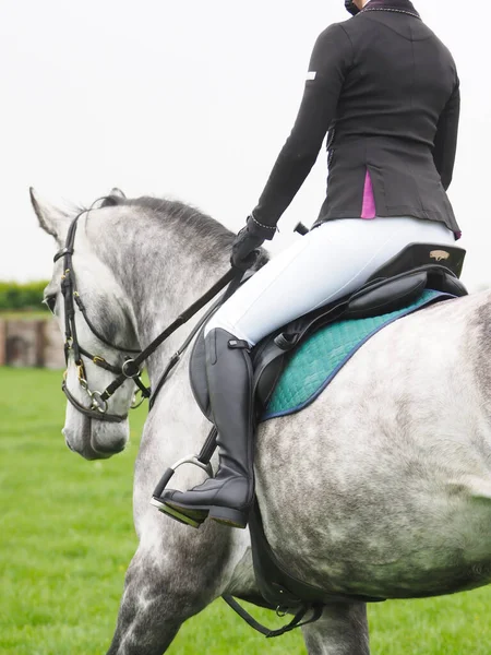 Primer Plano Del Lado Caballo Gris Jinete — Foto de Stock