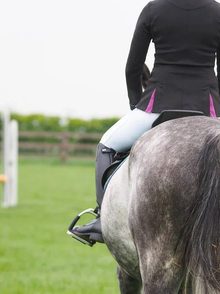 Primer Plano Espalda Caballo Gris Jinete — Foto de Stock