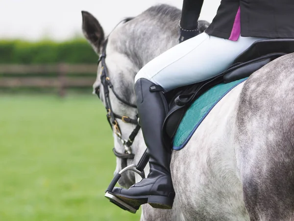 Primer Plano Espalda Caballo Gris Jinete — Foto de Stock