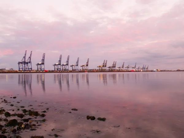 Доки Порту Фелікстоу Заході Сонця Показують Крани Складені Контейнери — стокове фото