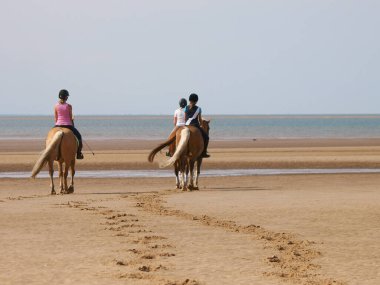 Bir grup binici atlarını sahilde gezintiye çıkarırlar..