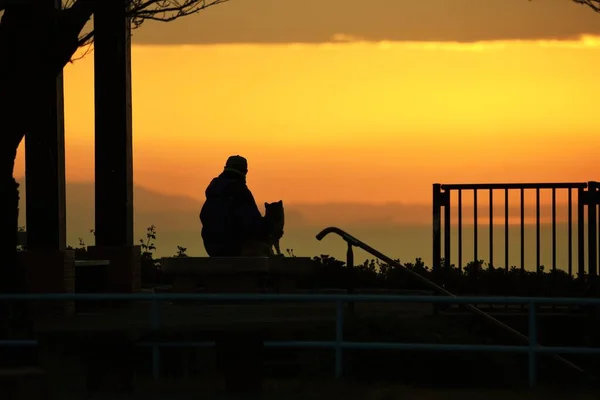 Silhouette of sunrise / old man and dog