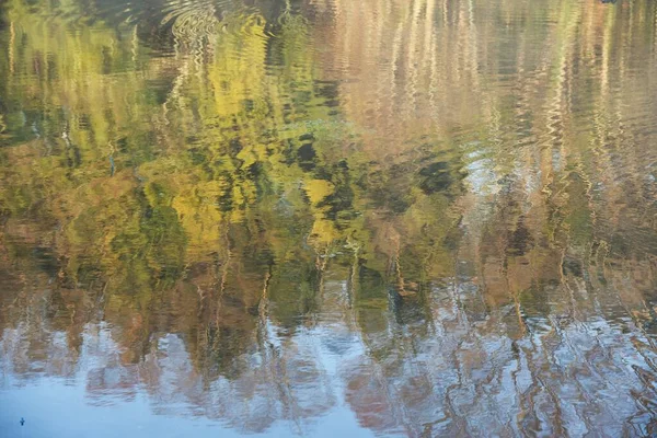 공원에 연못의 — 스톡 사진