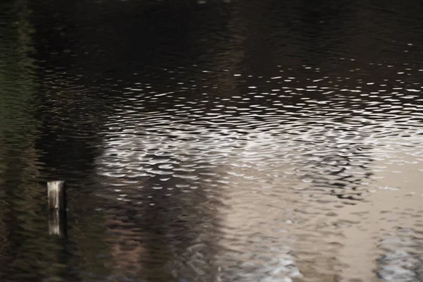 Riflessione Della Superficie Dell Acqua Dello Stagno Nel Parco Naturale — Foto Stock