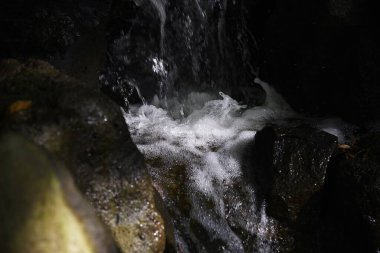 Doğal bir parkta küçük bir şelale..