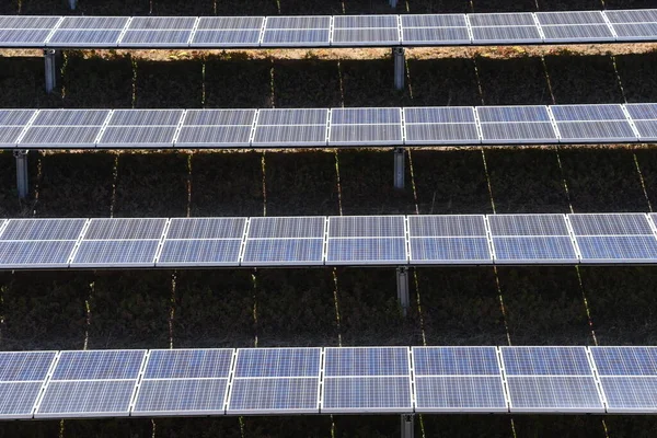 Uma Central Solar Fotovoltaica Geração Energia Renovável Para Evitar Aquecimento — Fotografia de Stock
