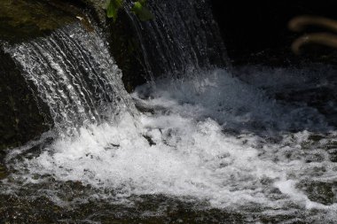 Doğal Soyut Arkaplan / Su Sıçratma Akımı.