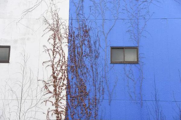 Escenas Ventanas Muros Edificios Las Calles Japón — Foto de Stock