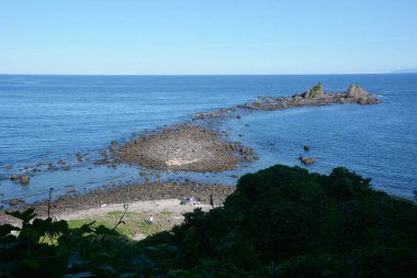 Japon Kanagawa Manazuru pelerini. Eski volkanik patlamadan oluşan lav kıyıları.