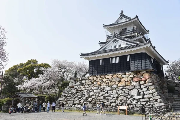 Zamek Hamamatsu Hamamatsu Prefektura Shizuoka Słynny Zamek Japonii — Zdjęcie stockowe