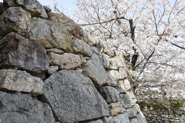 Hamamatsu Şehrindeki Hamamatsu Kalesi Shizuoka Bölgesi Japonya Ünlü Bir Kale — Stok fotoğraf