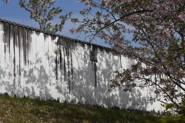 Eine Szene Den Bezirken Eines Japanischen Tempels Honkoji Tempel Der — Stockfoto