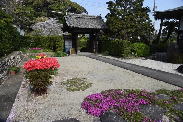Scéna Okrsků Japonského Chrámu Chrám Honkoji Kosai City Prefektura Shizuoka — Stock fotografie