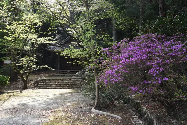 Une Scène Enceinte Temple Japonais Honkoji Temple Dans Ville Kosai — Photo