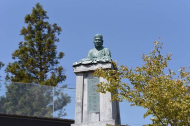 Japon çay tarlaları, Awagatake, Kakegawa Şehri, Shizuoka Bölgesi.
