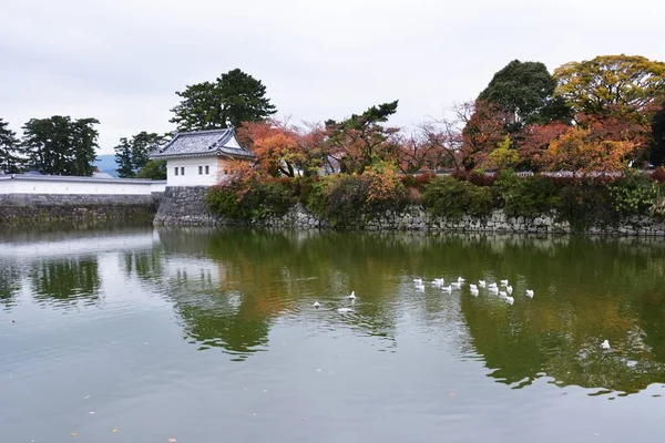 Visita Guidata Del Castello Giapponese Castello Odawara Nella Città Odawara — Foto Stock