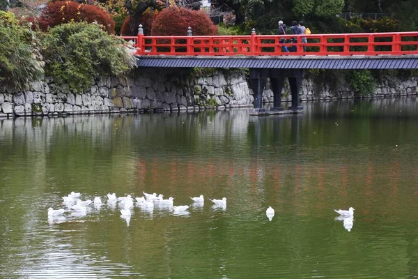 Visita Guidata Del Castello Giapponese Castello Odawara Nella Città Odawara — Foto Stock