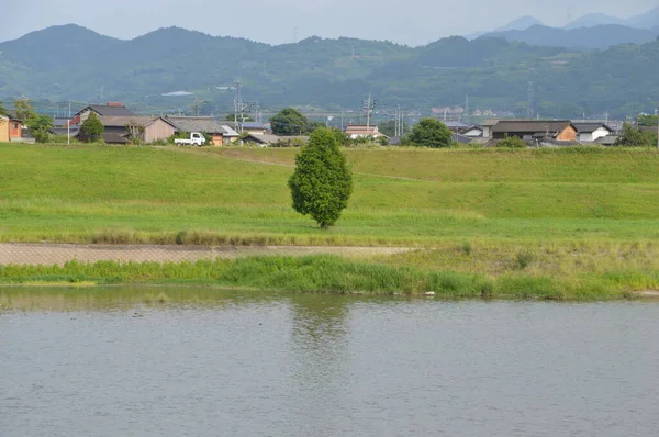 Τέσσερις Εποχές Του Ποταμού Chikugo Fukuoka Νομός Jpan Ποταμός Chikugo — Φωτογραφία Αρχείου