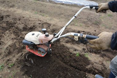 Mutfak bahçesi işi. İyi toprak yapmak için tarlayı tarlacılarla sürün..