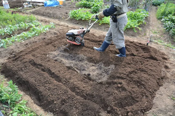 Cozinha Jardim Trabalho Permitir Que Campos Com Cultivador Para Fazer — Fotografia de Stock