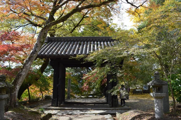 Excursion Japon Ruines Château Akizuki Ville Château Akizuki Ville Asakura — Photo