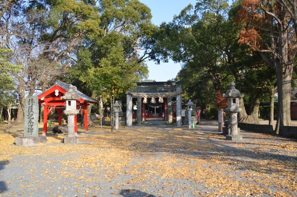 福岡県の田舎にある神社の境内の風景 神社は 日本独特の宗教である神道の信仰に基づく施設であり ほとんどの日本人が参拝に訪れる — ストック写真