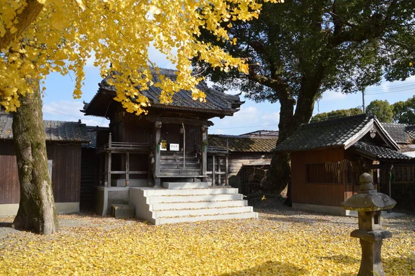 福岡県の田舎にある神社の境内の風景 神社は 日本独特の宗教である神道の信仰に基づく施設であり ほとんどの日本人が参拝に訪れる — ストック写真