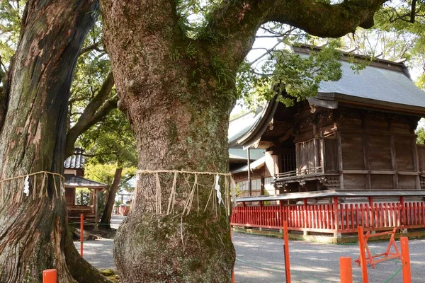 Τοπίο Των Τμημάτων Ενός Ιερού Στην Ύπαιθρο Του Νομού Φουκουόκα — Φωτογραφία Αρχείου