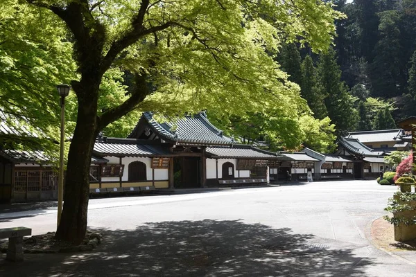 Достопримечательности Японии Daiyuzan Saijyoji Temple Храм Красивой Свежей Зеленью Город — стоковое фото