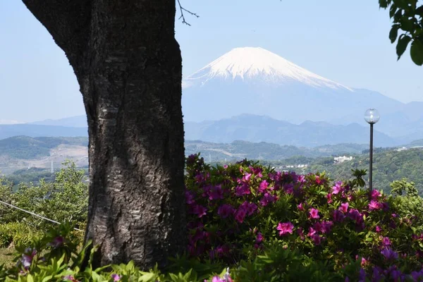 Όρος Fuji Στα Τέλη Της Άνοιξης Καλύπτονται Χιόνι — Φωτογραφία Αρχείου