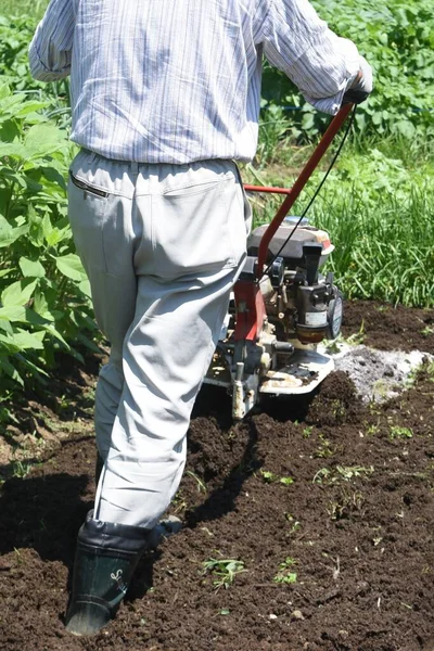 Une Scène Préparation Sol Dans Potager Avec Cultivateur Ambulant — Photo