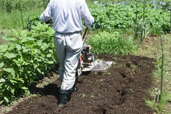 Une Scène Préparation Sol Dans Potager Avec Cultivateur Ambulant — Photo