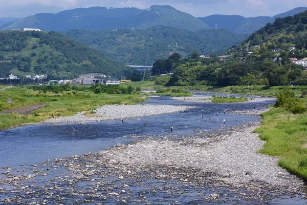 Pesca Dello Sweetfish Ayu Nel Fiume Giappone Pesca Del Pesce — Foto Stock