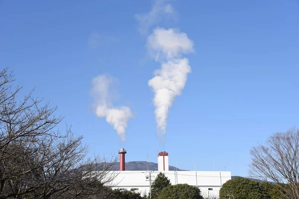 The plume rising from the chimney of the garbage incineration plant.