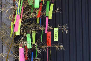 Japanese Tanabata Festival is held on July 7th every year, People write their wishes on colorful strips of paper called tanzaku. After writing their wishes, they hang tanzaku on the bamboo grass.