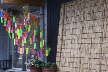 Japanese Tanabata Festival is held on July 7th every year, People write their wishes on colorful strips of paper called tanzaku. After writing their wishes, they hang tanzaku on the bamboo grass.