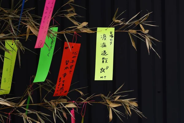 Festival Japonés Tanabata Celebra Julio Cada Año Gente Escribe Sus —  Fotos de Stock