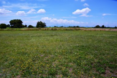 Mavi gökyüzü, beyaz bulutlar ve çiçekler. Yazın başlarında Japonya 'da bir sahne.