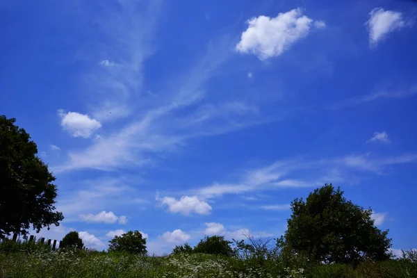 Blue sky, white clouds and flowers. A scene of early summer in Japan.